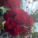 Elise Tompkins - Facebook