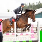 @elise.wallman.eq - Instagram