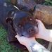 Elise Waters - Facebook