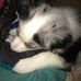 Elise Waters - Facebook