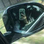 @elise_wu.spam - Instagram