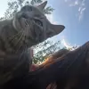 elisewu.spamm - @elisewu.spamm - TikTok