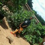 Elisha David - Facebook