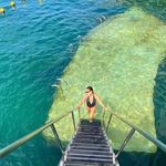 Lis Hardman | Nutricionista - @lis.hardman - Instagram