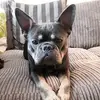Elisha Ingram - @elishaingram21 - TikTok