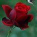 Elisha Isha - Facebook