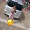 ELISHA_LISHA_ISHA❤️‍🩹 - @heartzz4elisha - TikTok