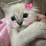 Elisha Jimenez - Facebook