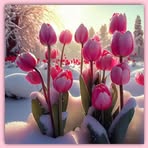 Elisha John - Facebook