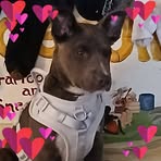 Elisha Lopez - Facebook