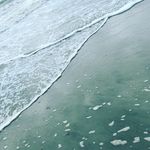Elisha McRoy - @j.livingston1011 - Instagram