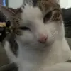 Alisha Moody - @alisha.moody1 - TikTok