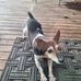 Elisha Nash - Facebook