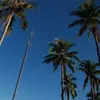 Elisha Noel Banzuela - @elishanoel - TikTok