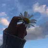 elishapalmer835 - @elishapalmer835 - TikTok