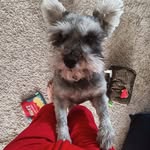 Elisha Proctor - @elishaproctor - Instagram