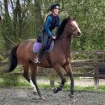 Alisha Raines 🐎 - @alisha.raines1 - Instagram