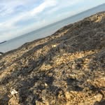 Elishaphotography - @elisharichardsphotography_ - Instagram