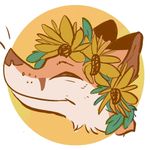 Elisha Rush 🌼 - @springfoxstudios - Instagram