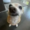 elisha scott - @elisha.scott - TikTok