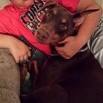 Elisha Simpson Blount - @eblount2009 - Instagram