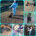Alisha J Snell - Facebook