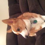 Elisha Snell - @75255e - Instagram
