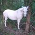 Elisha Stanley - Facebook