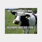 Elisha Swanson - @downonthefarmweekly - Instagram