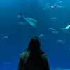 Eli - @elishatorres - TikTok