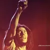 trust your instincts - @elishavincent808 - TikTok