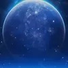 Elisha Wang - @elisha.wang - TikTok