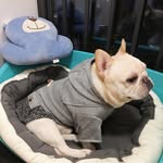 elishawang - @elishawang9380 - Instagram