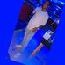 Elison Perez - Facebook
