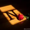 ina  ahmed - @elissaali7 - TikTok