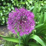Elissa_Bailey69 - @elissa_bailey - Instagram