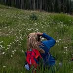Elissa Bean - Facebook