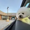 Elissa Boyd - @elissa.boyd - TikTok