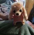Elisa Bradley - Facebook