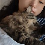 elissa c - @elissa.chenn - Instagram