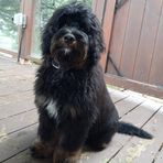 Elissa Davidson Pinkney - Facebook