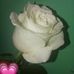 Elissa Hernandez - Facebook