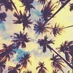Elissa James - @elissa.james - Instagram