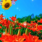 Elisa Moran - Facebook