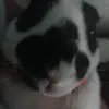Elisa Munoz - @elisa.munoz8 - TikTok