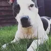 Elisa Norman - @elisanorman1 - TikTok
