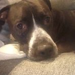 Elissa Orr - Facebook