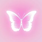 Elissa Ortiz 🦋 - @ortlissa - Instagram