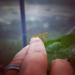 Elissa Pennington - @ekmckay2005 - Instagram