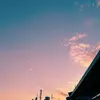Melissa.Pennington - @melissapenningtonxqdduu - TikTok